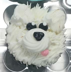 bichon cupcakes