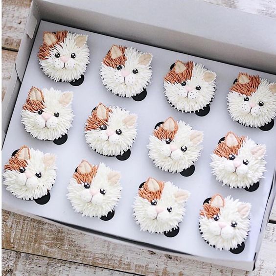 Kitty Cat Cupcakes